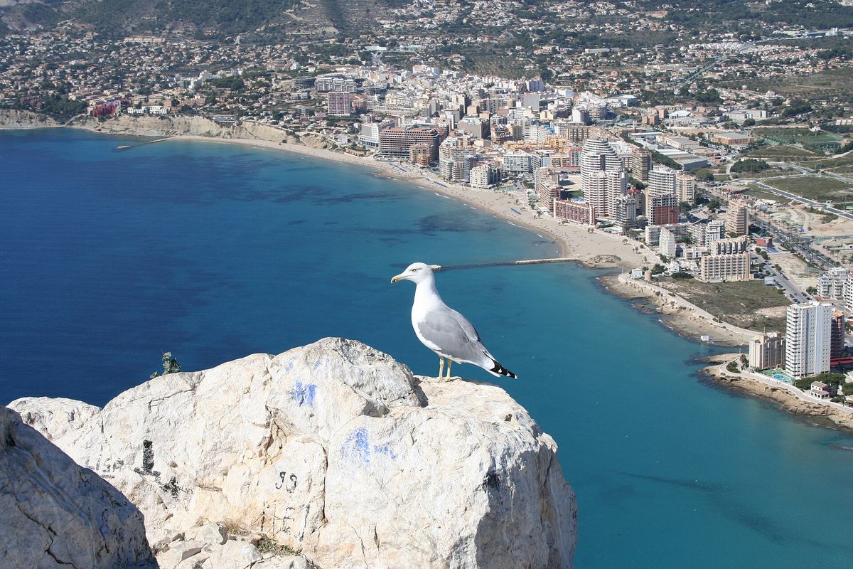 Calpe y sus urbanizaciones desde el Peñón de Ifach
